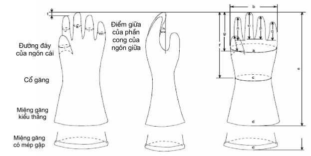 Hình dạng của găng tay